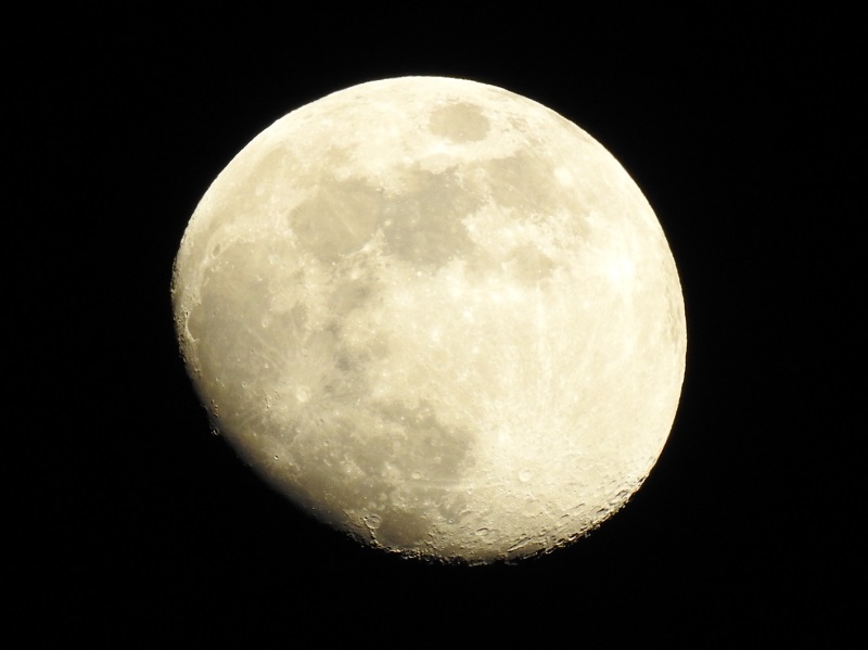 今夜の月とミヤマオダマキ～2018.05.26～