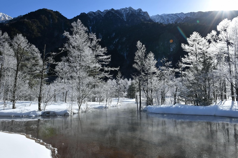 太陽の日差しを受けてきらきら輝く田代池の霧氷