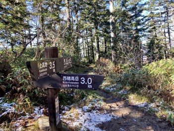 途中、焼岳へ向かう分岐があります。焼岳は冬季登山道使用不可なので、焼岳方面へはいけません！