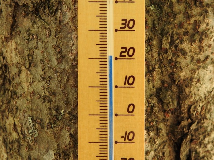 お昼前の気温は21℃、風が心地よいです