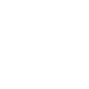 2024年オープン New Open