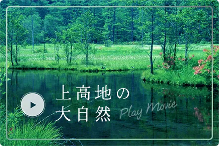 上高地の大自然 Play Movie