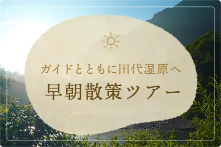 早朝散策ツアーのご案内