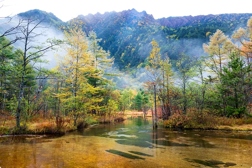 写真：森林コース
