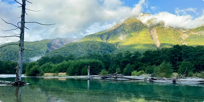 写真：大正池